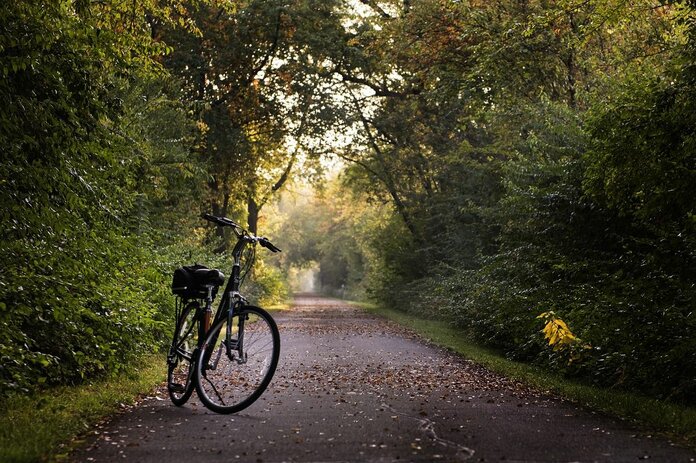 Waldweg