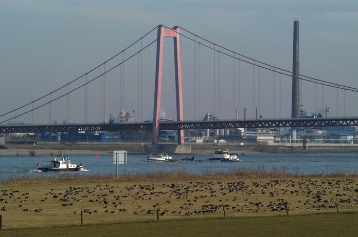 Rheinbrücke